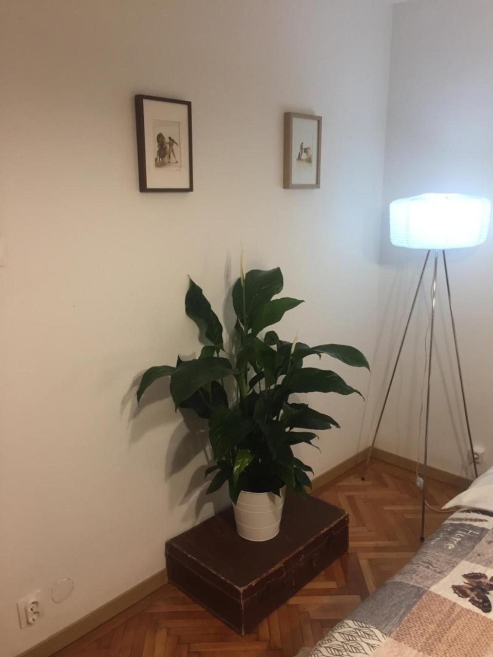 Marcy Studio Leilighet Bucureşti Eksteriør bilde